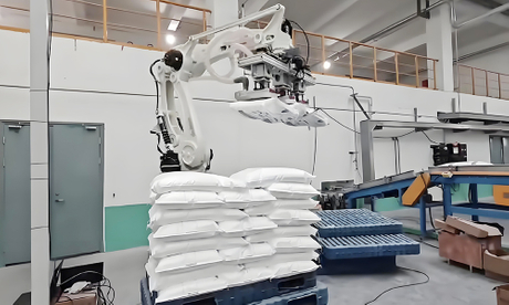 Depalletizing-&-Palletizing.jpg