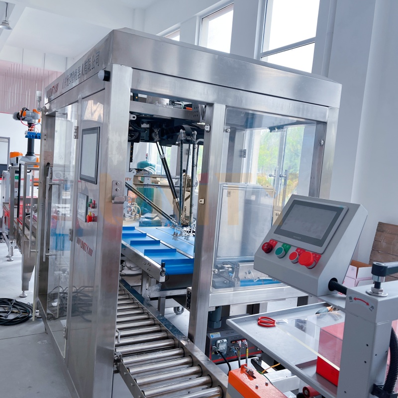 Dozen opzetten, verpakken, verzegelen, palletiseren, automatisering, verpakkingslijn