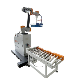 Robot Cobot personnalis&eacute; en usine de la Chine palettisant le robot d'emballage de carton de 20 kg &agrave; vendre