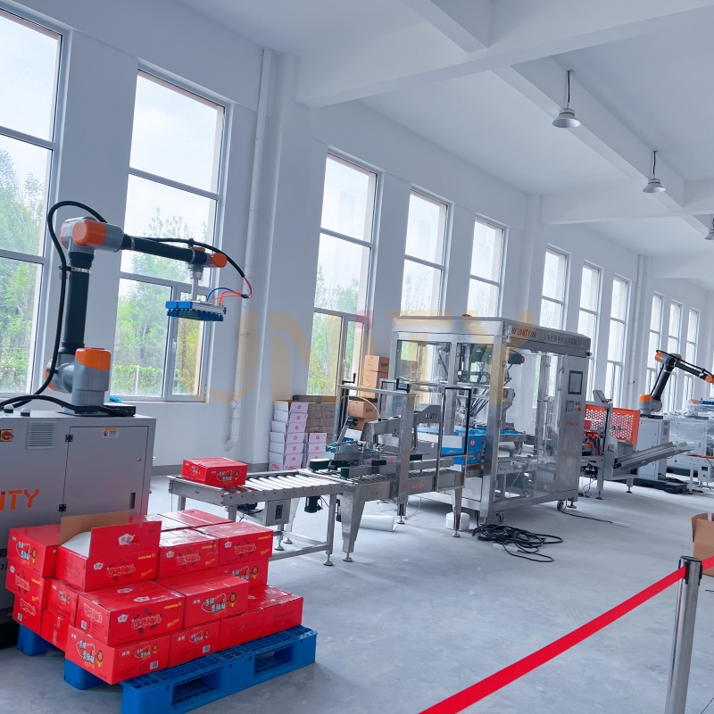 Dozen opzetten, verpakken, verzegelen, palletiseren, automatisering, verpakkingslijn